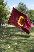 3X5 Maroon Nylon Flag With Gold Sewn C