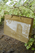Gold 13X10 Warriner Hall Photo Gift Bag
