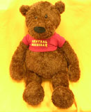 22" Gund Big Brown Bear W/Central Michigan T-Shirt