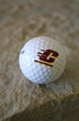 Wilson Golf Ball With Flying C Imprint