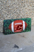Football And Flying "C" License Plate