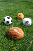 Asst. Plush Sports Balls W/ Embroidered Flying C