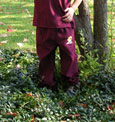 Maroon Scrub Pants W/ Gold-Embroidered Flying "C"