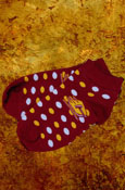 Maroon Socks W/Flying "C" And Polka Dots - Child