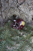 C M U Football Pocket-Sized Helmet