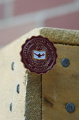 Lapel Pin - Central Michigan Seal