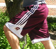 Maroon Adidas Shorts W/Flying"C" And Adidas Logo