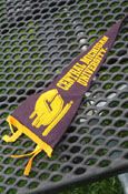 6X15 Central Michigan University Pennant