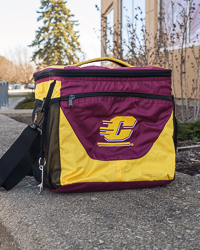 Action C Maroon & Gold Insulated Cooler