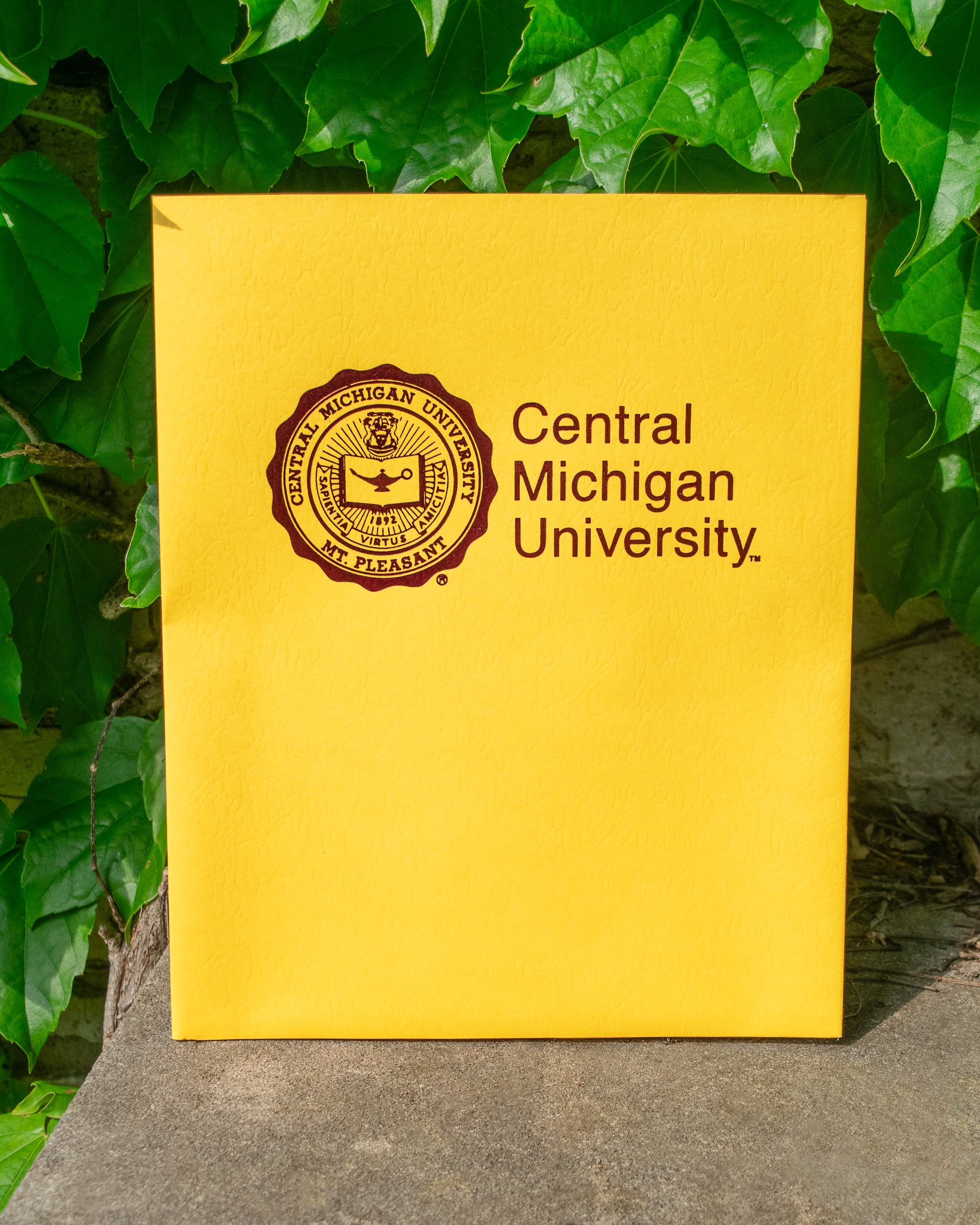Gold 2-Pocket Folder with Central Michigan Seal (SKU 1017548473)