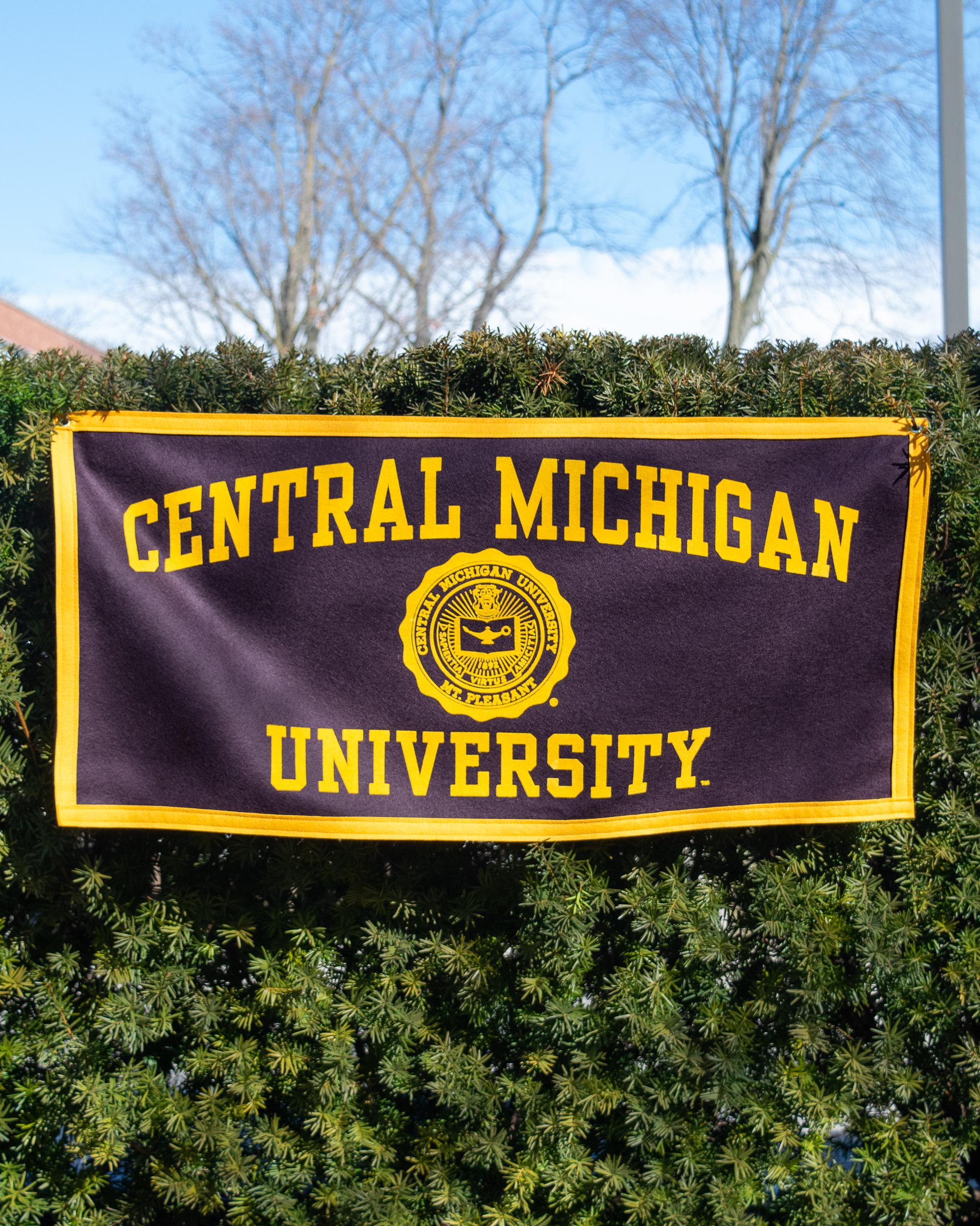 Central Michigan University Seal Maroon Banner<br><brand></brand>