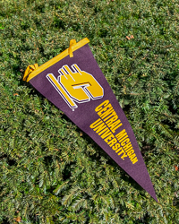Action C Central Michigan Maroon & Gold Pennant<br><brand></brand>