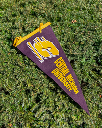 Action C Central Michigan Maroon & Gold Pennant