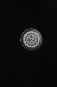 Central Michigan Seal Silver Plated Affinity Lapel Pin