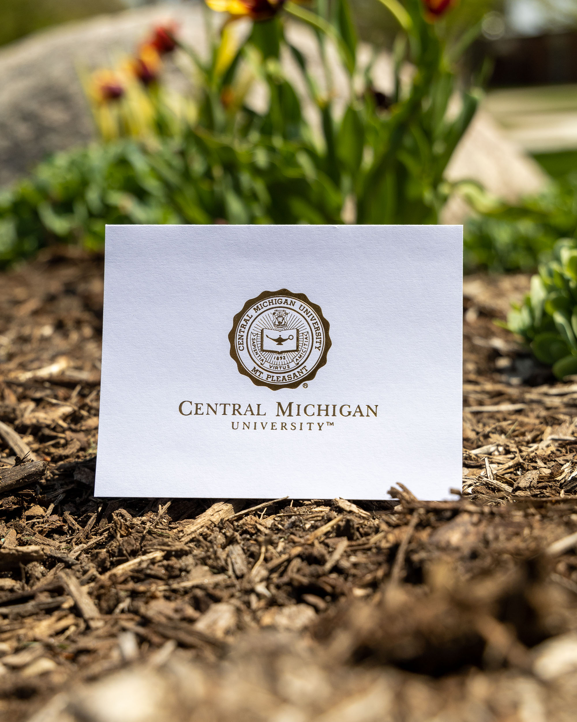 Central Michigan University Seal Note Cards (10 pk)<br><brand></brand>