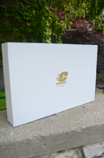 17x11 White Gift box with Gold Action C