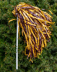 Maroon & Gold Streamer Pom with Stick