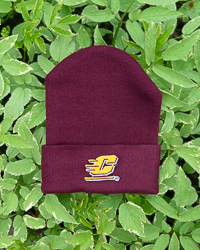 Action C Maroon Newborn Knit Cap