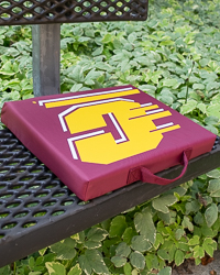 Action C Maroon Stadium Cushion