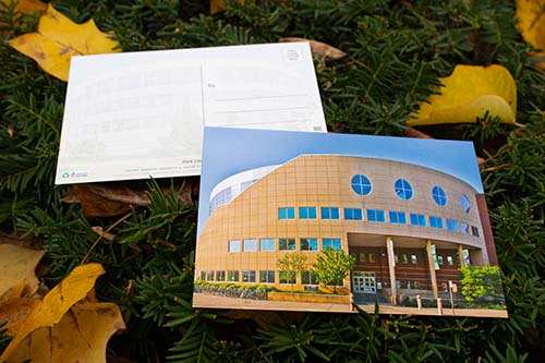 Central Michigan University Park Library Postcard