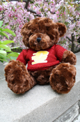 Elliott Plush Brown Bear with Action C Maroon Sweater<br><brand></brand>