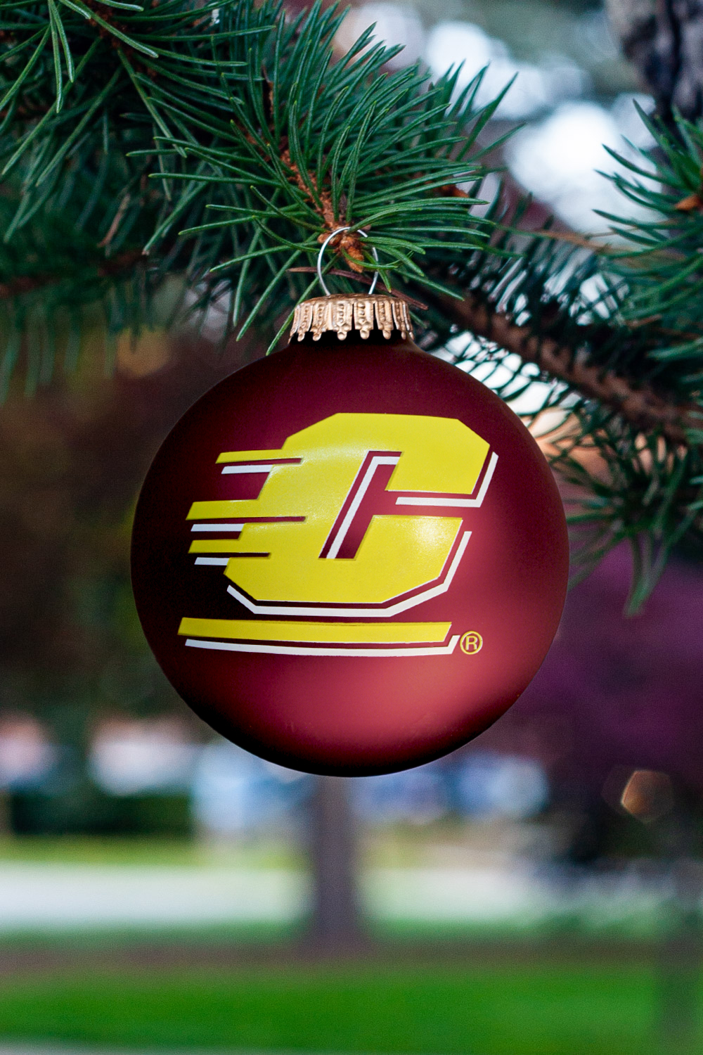 Action C Maroon & Gold Glass Globe Ornament