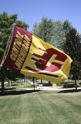 Central Michigan Action C Maroon & Gold Flag<br><brand></brand>