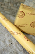 Central Michigan University Seal Gold Wrapping Paper<br><brand></brand>