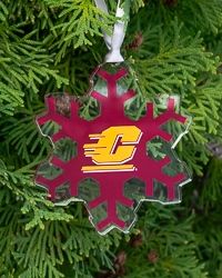 Action C Maroon Snowflake Acrylic Holiday Ornament