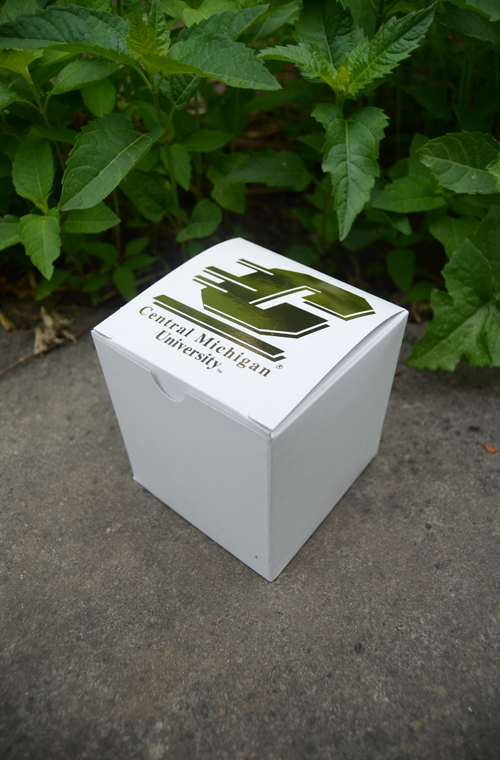 Action C Central Michigan University Small Gift Box<br><brand></brand> (SKU 5008682527)