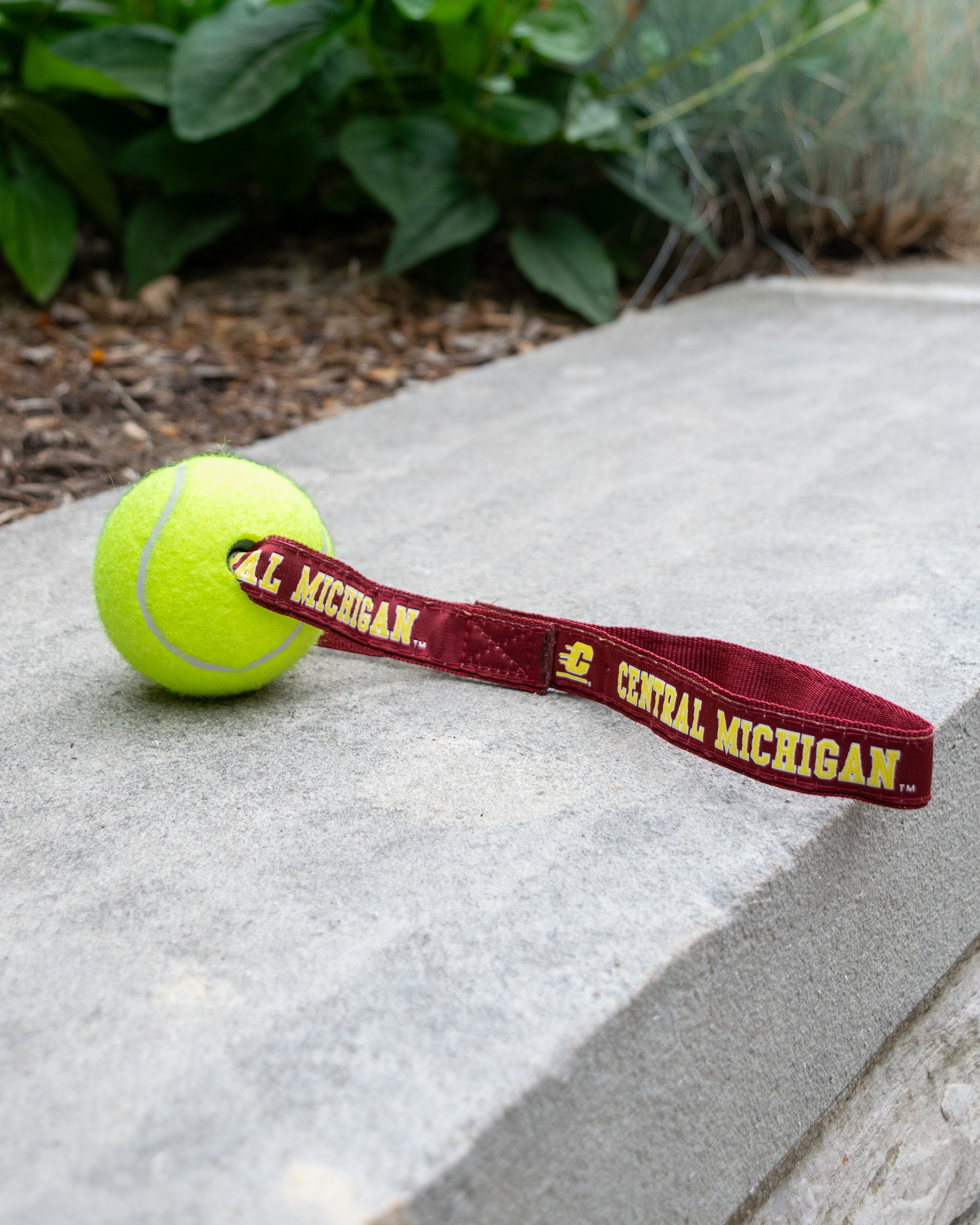 Central Michigan Tennis Ball Toss Dog Toy