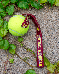 Central Michigan Tennis Ball Toss Dog Toy