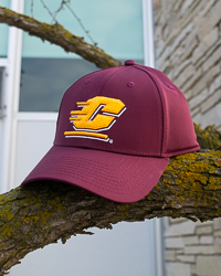 Action C Maroon Low Pro GameChanger Hat<br><brand>THE GAME</brand>