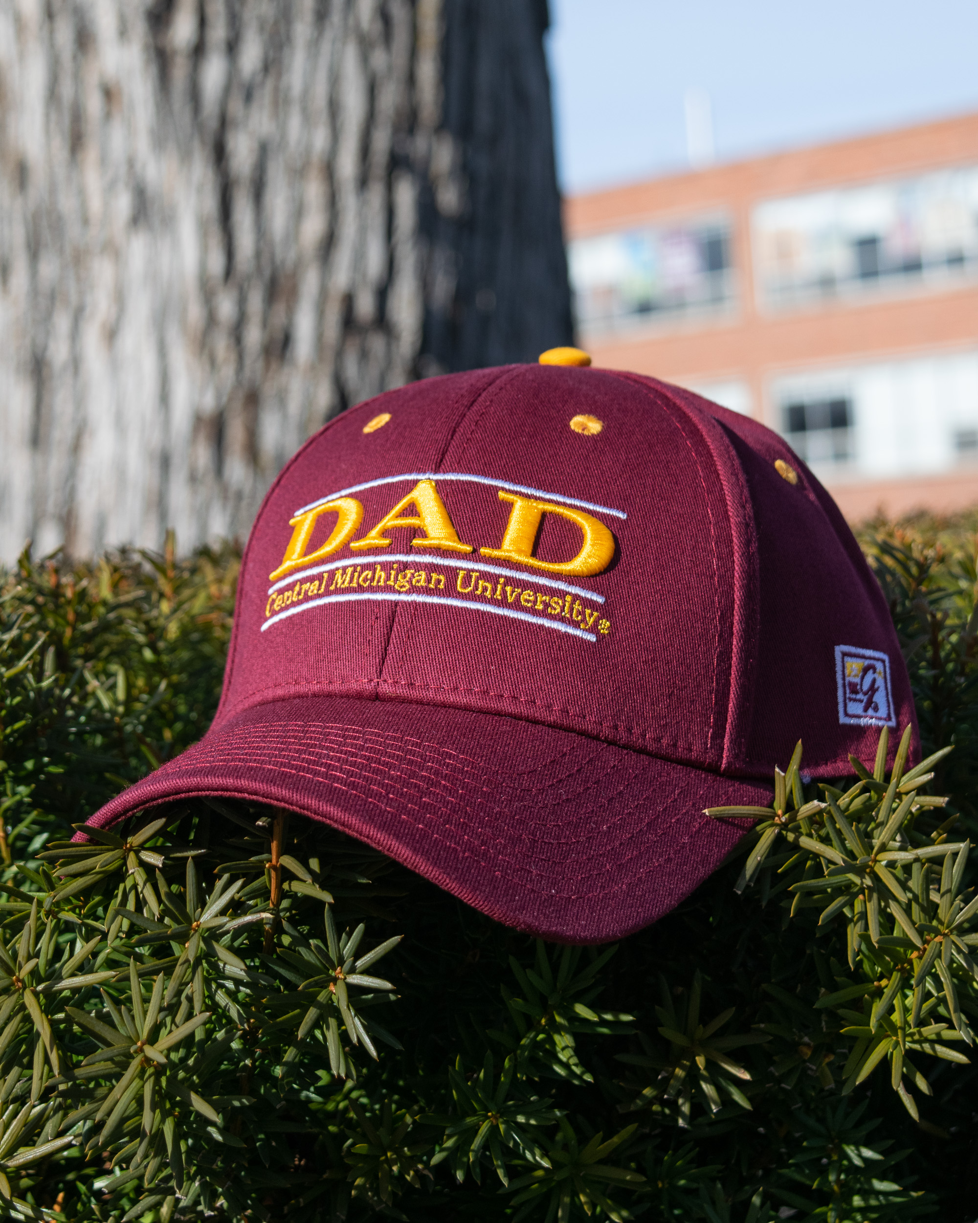western michigan university baseball cap of fitted hat dad line central maroon western michigan university baseball cap of fitted hat dad line central maroon