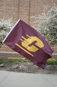 Action C Maroon & Gold Appliqué Flag