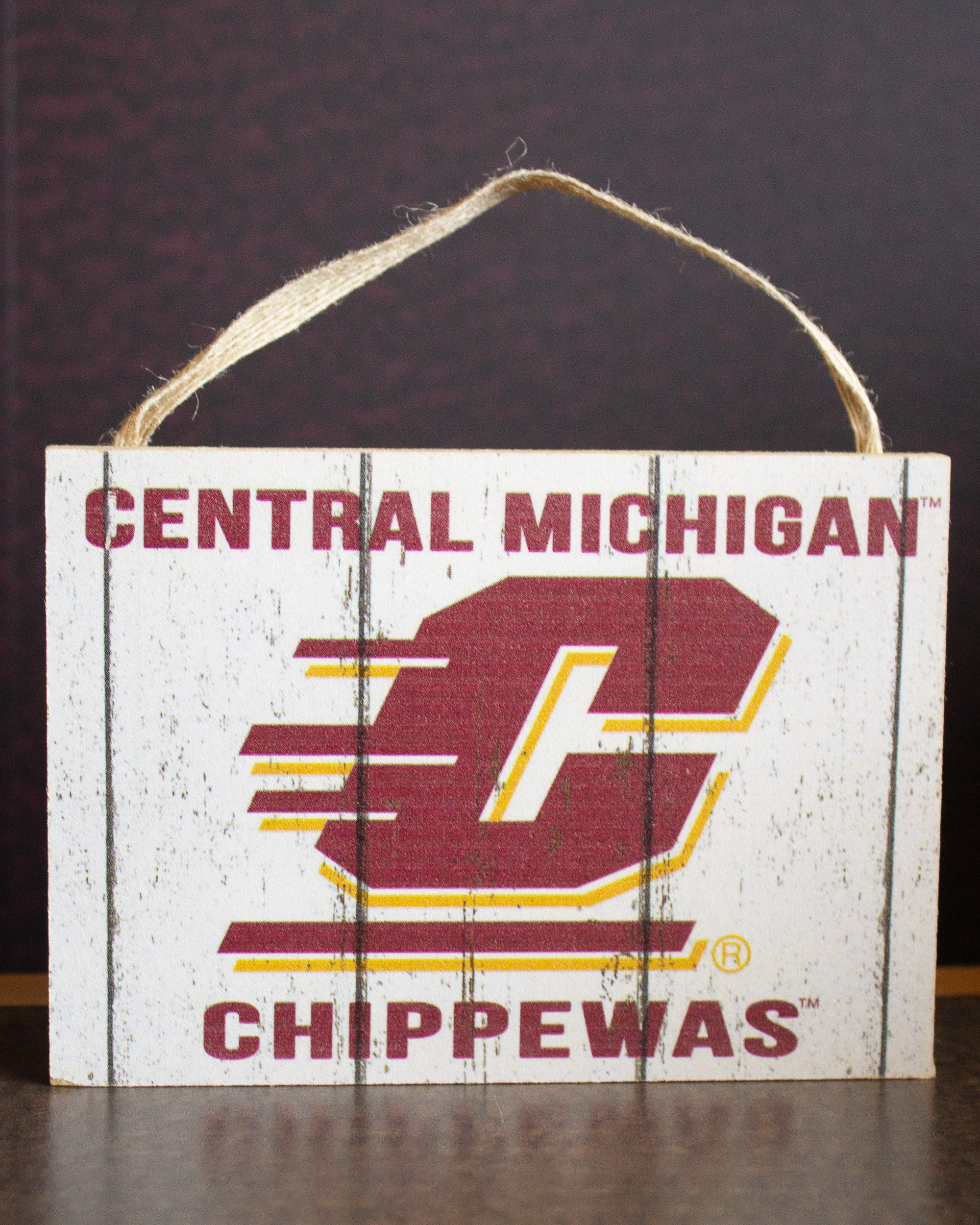 Action C Central Michigan Chippewas Small Plaque<br><brand></brand>