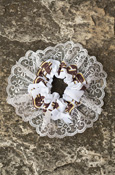 Central Michigan Action C Repeat Garter
