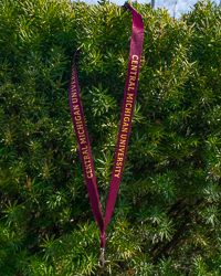 Central Michigan University Maroon Lanyard