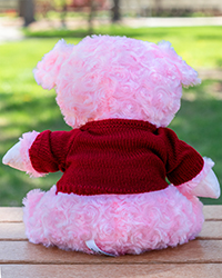 Pink Pig Stuffed Animal with Maroon Action C Sweater