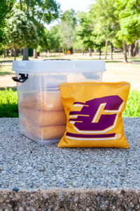 Action C Regulation Gold Cornhole Bags