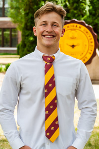 Action C Geometric Striped Maroon & Gold Neck Tie