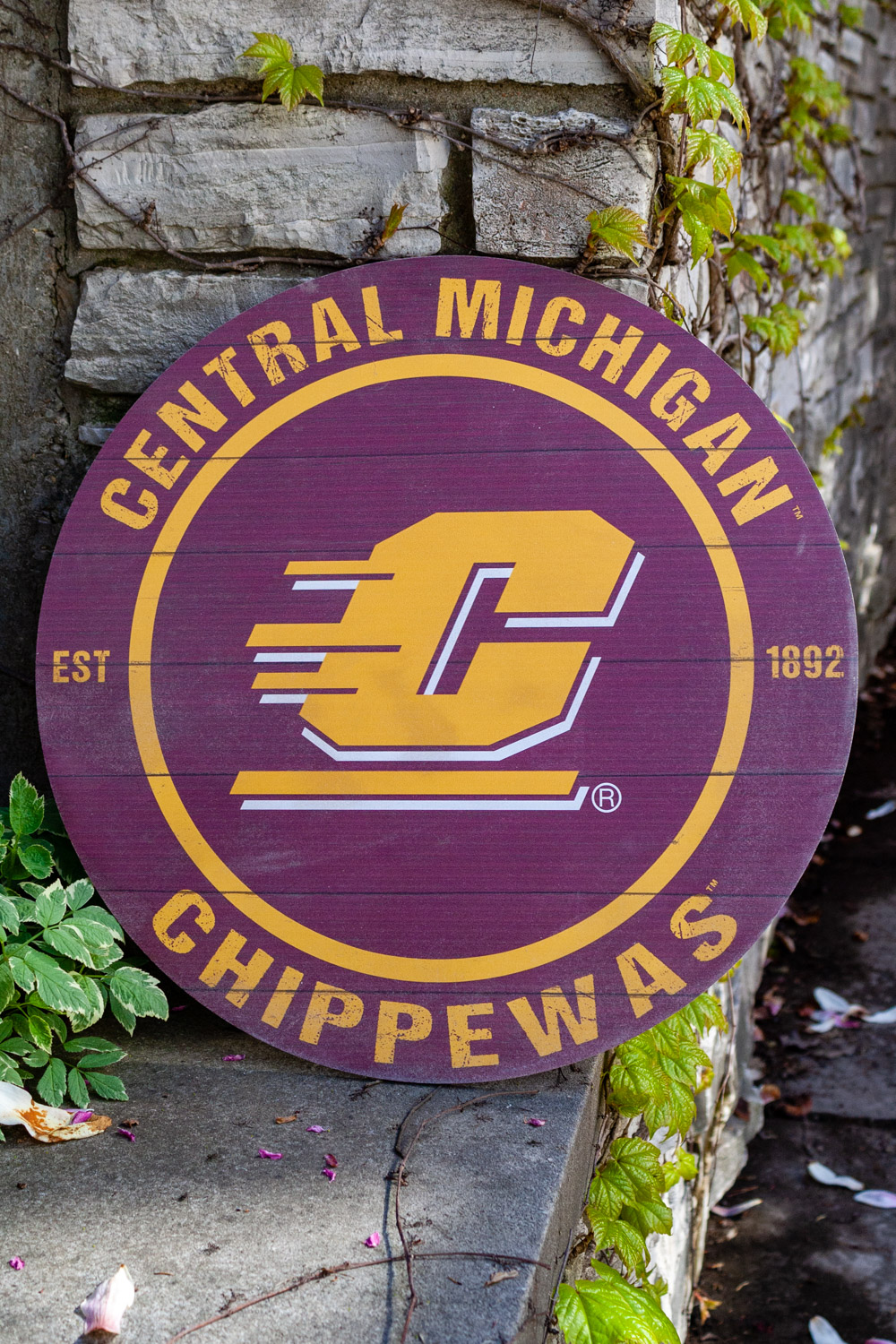 Action C Central Michigan Chippewas Round Maroon Wall Sign<br><brand></brand> (SKU 5048190330)