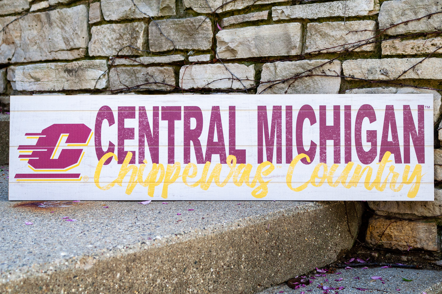 Action C Central Michigan Chippewas Country Horizontal Sign (SKU 5048197230)