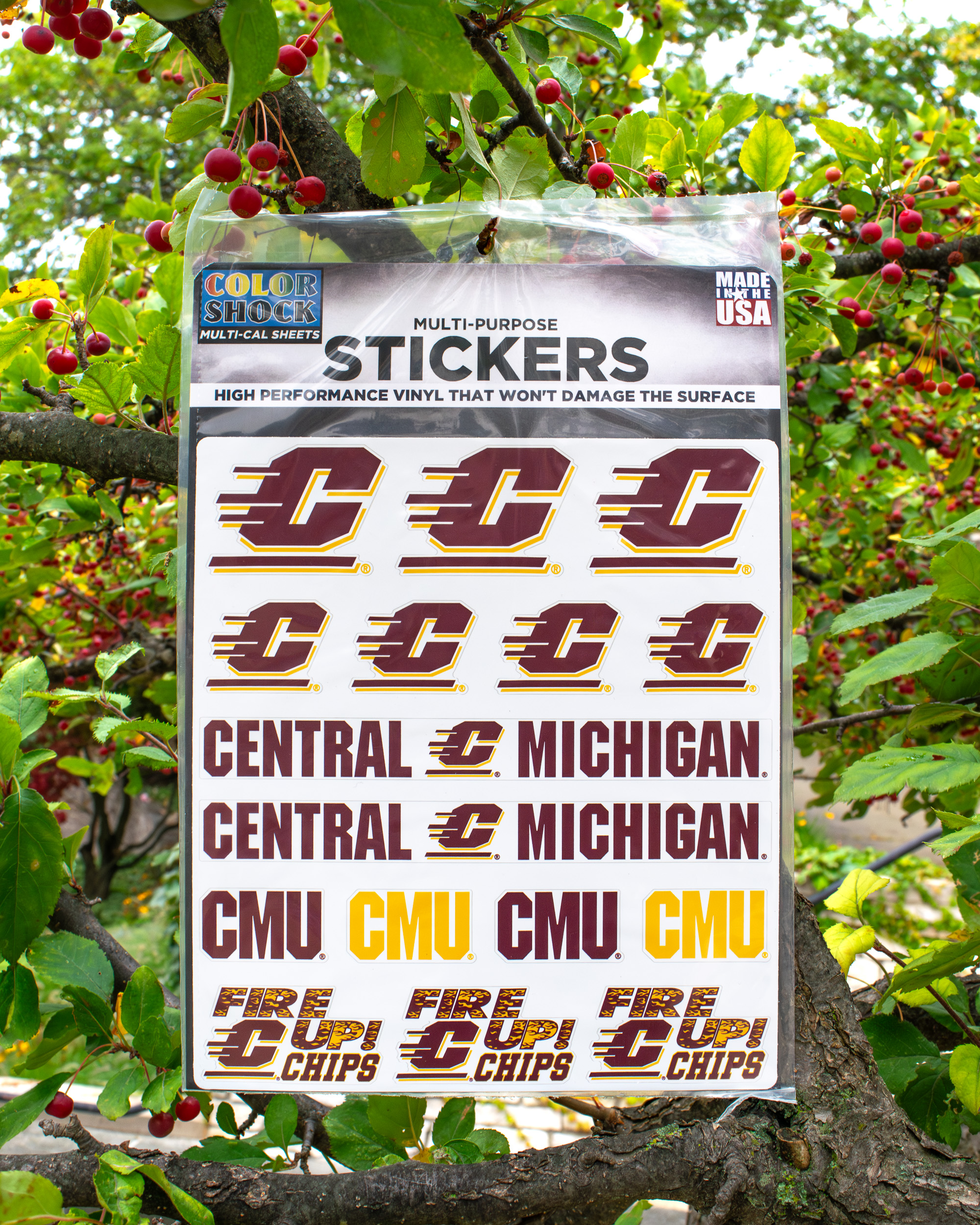 Central Michigan Assorted Vinyl Stickers (SKU 5048202398)