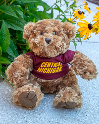 Tan Plush Bear with Central Michigan T-Shirt