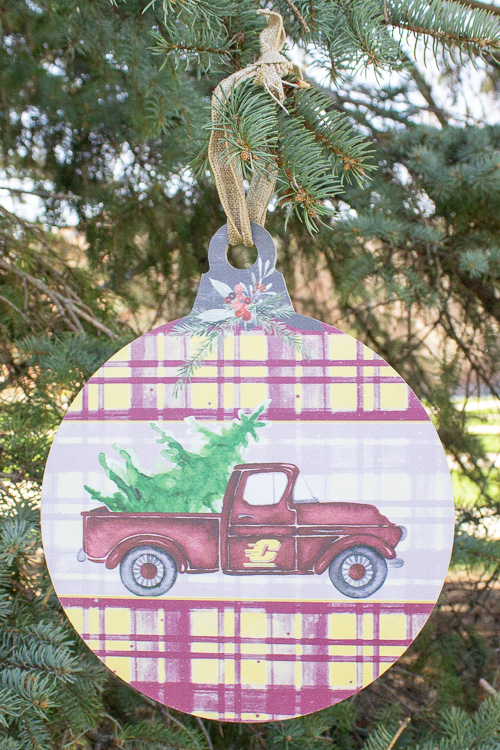 Action C Holiday Ornament Wall Decor