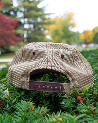 Central Michigan Fire Up Chips! Maroon & Gold Soft Mesh Hat