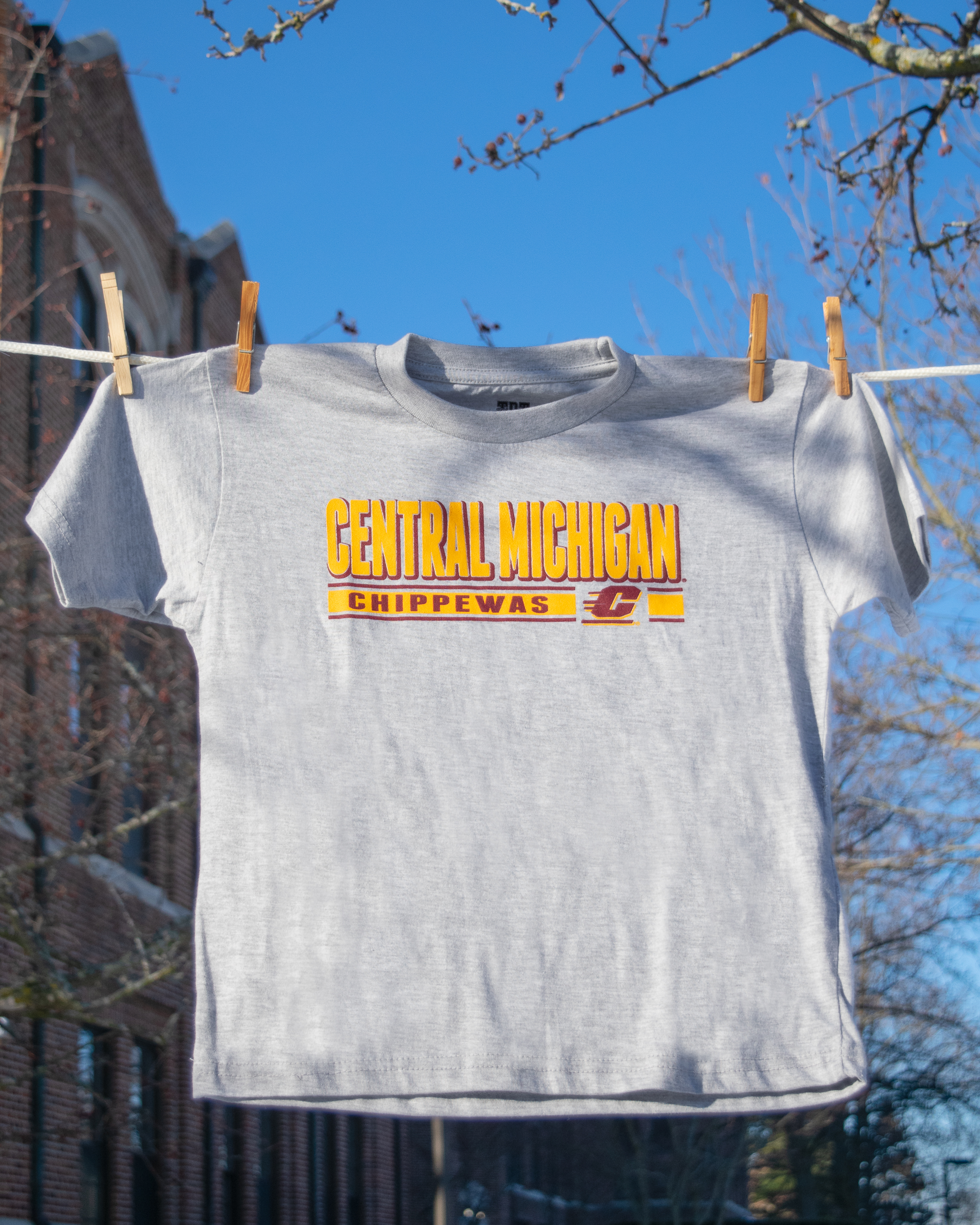 Central Michigan Chippewas Gray Youth T-Shirt (SKU 5054197398)