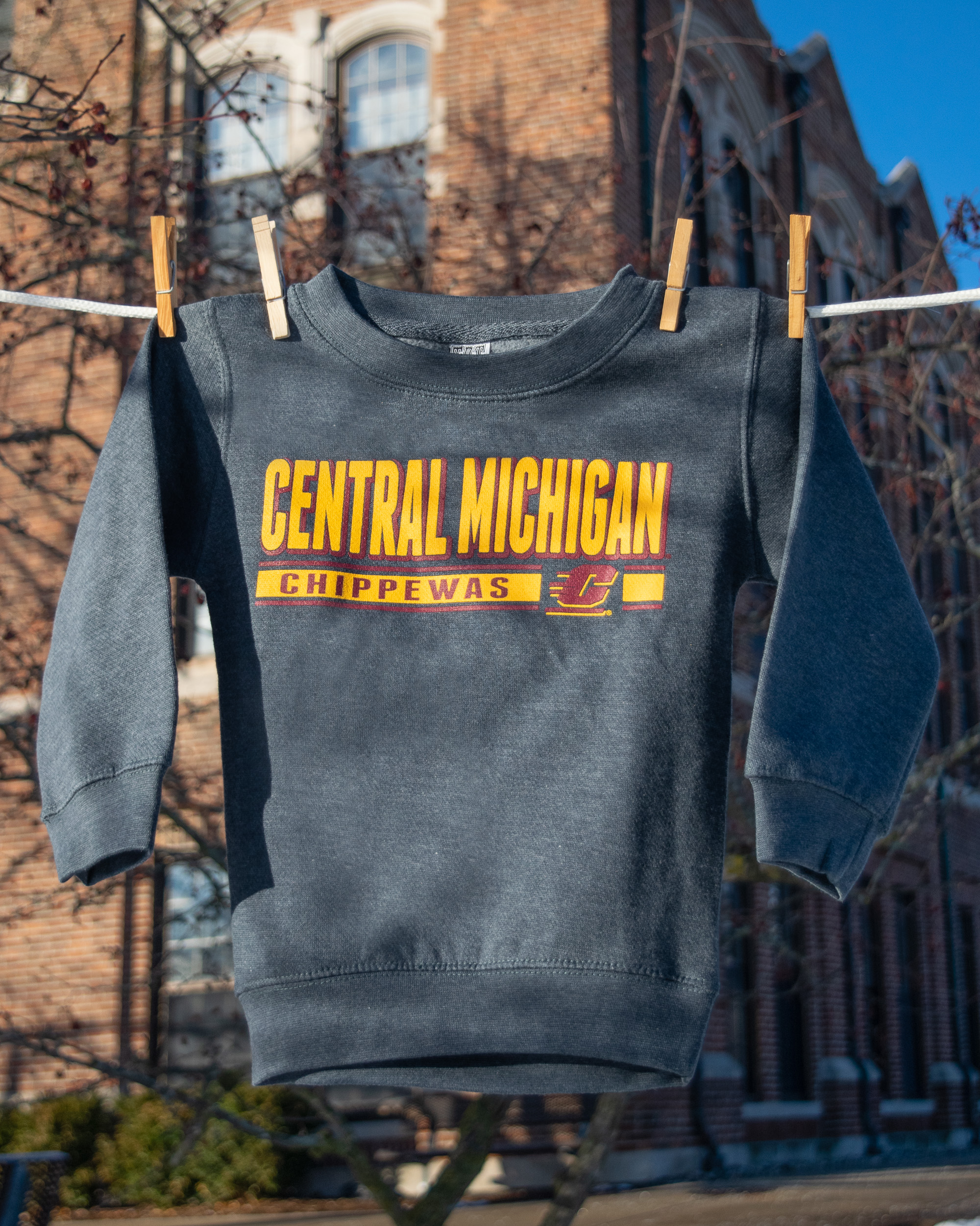Central Michigan Chippewas Gray Youth Crewneck Sweatshirt