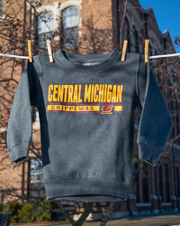 Central Michigan Chippewas Gray Youth Crewneck Sweatshirt<br><brand></brand>